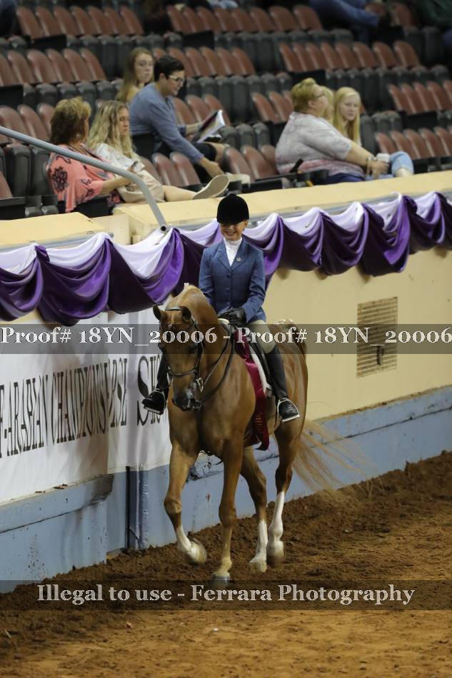 Proof 18YN_20006