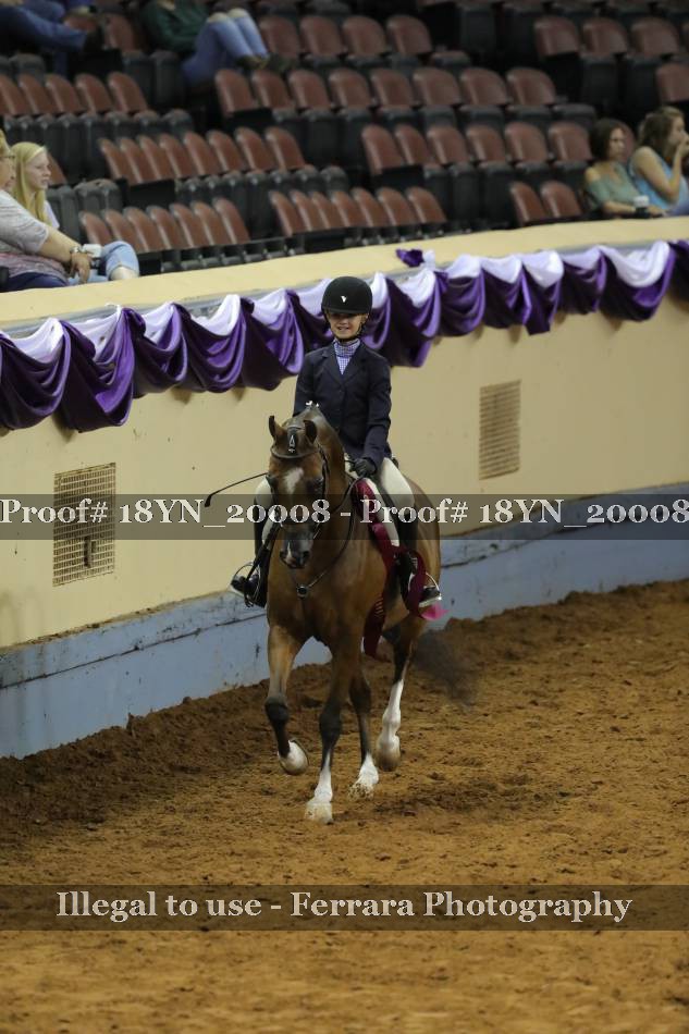 Proof 18YN_20008