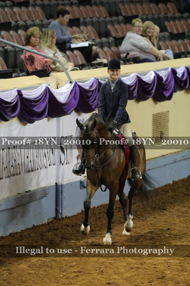 Proof 18YN_20010