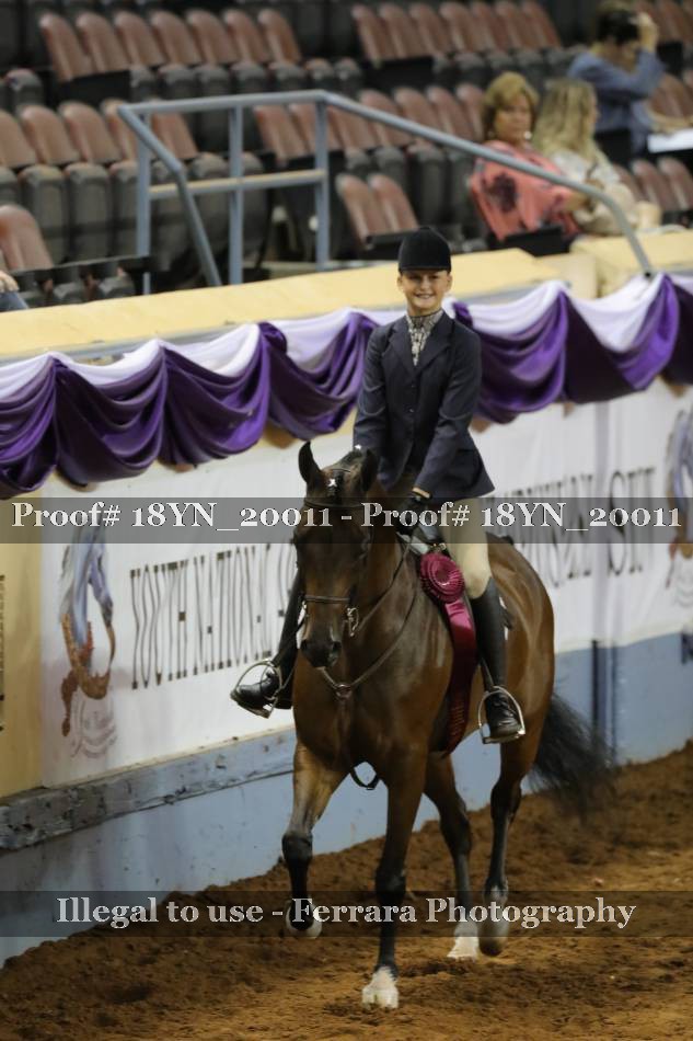 Proof 18YN_20011