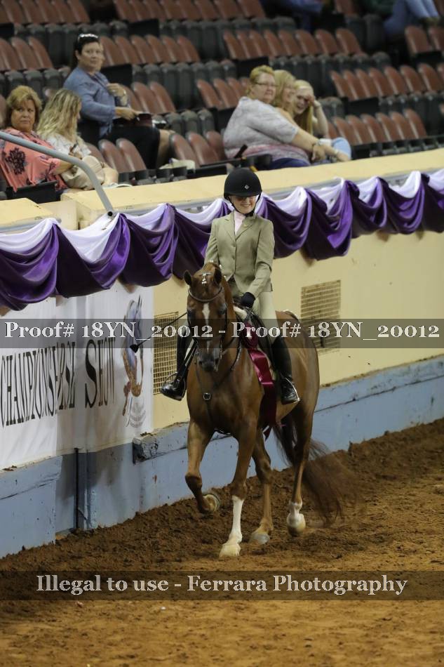Proof 18YN_20012