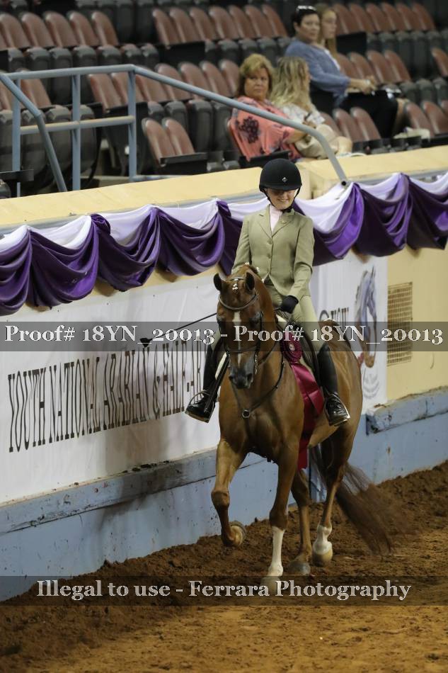 Proof 18YN_20013
