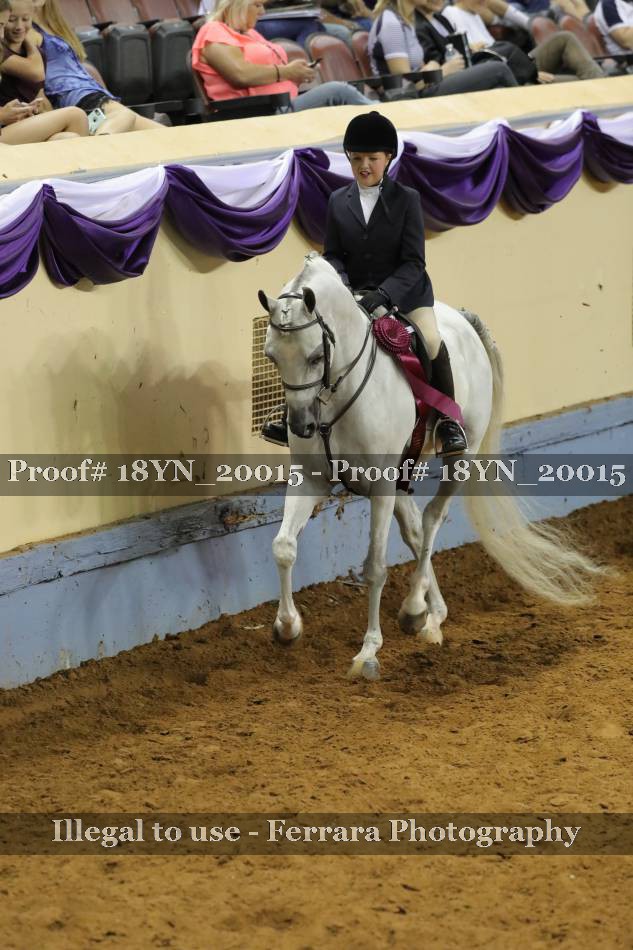 Proof 18YN_20015