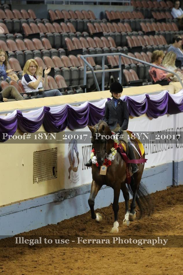 Proof 18YN_20017