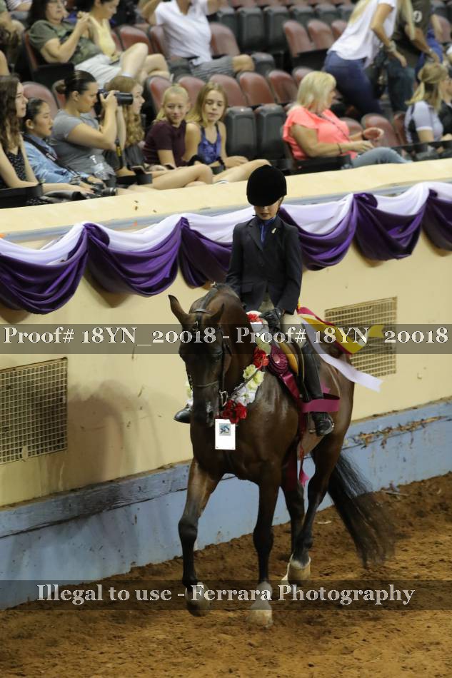 Proof 18YN_20018
