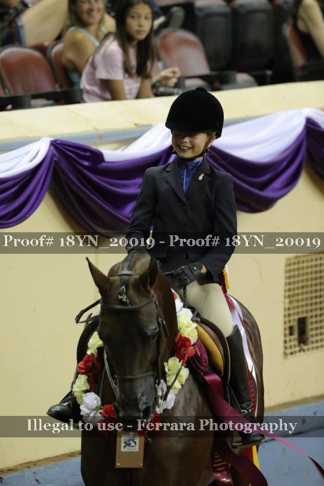 Proof 18YN_20019