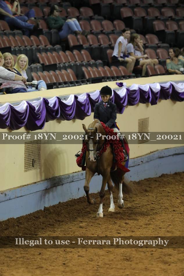 Proof 18YN_20021