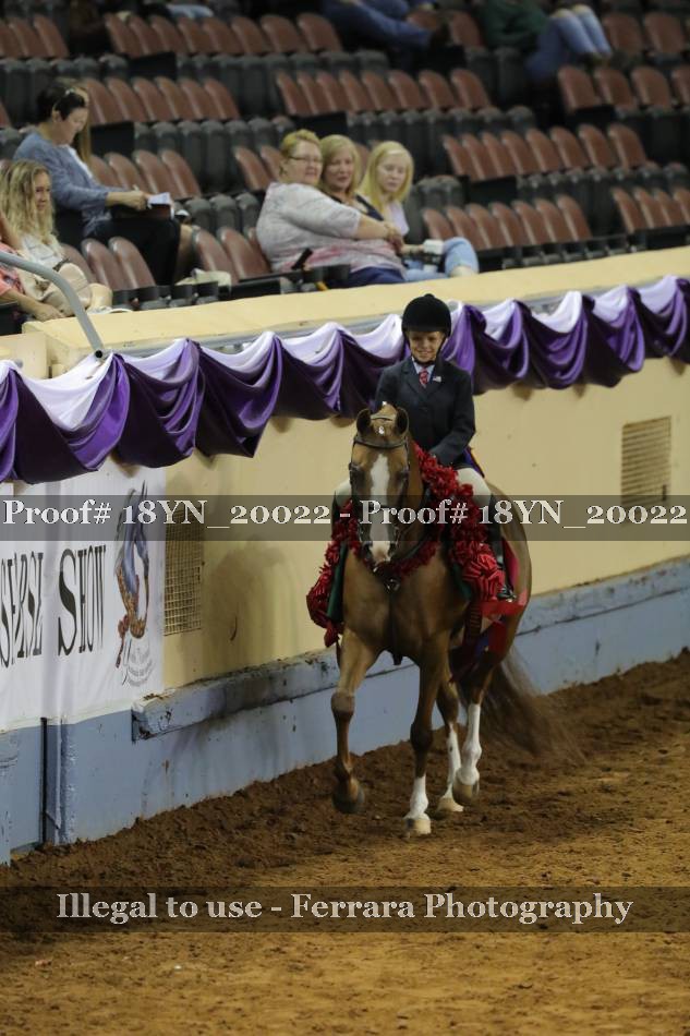 Proof 18YN_20022