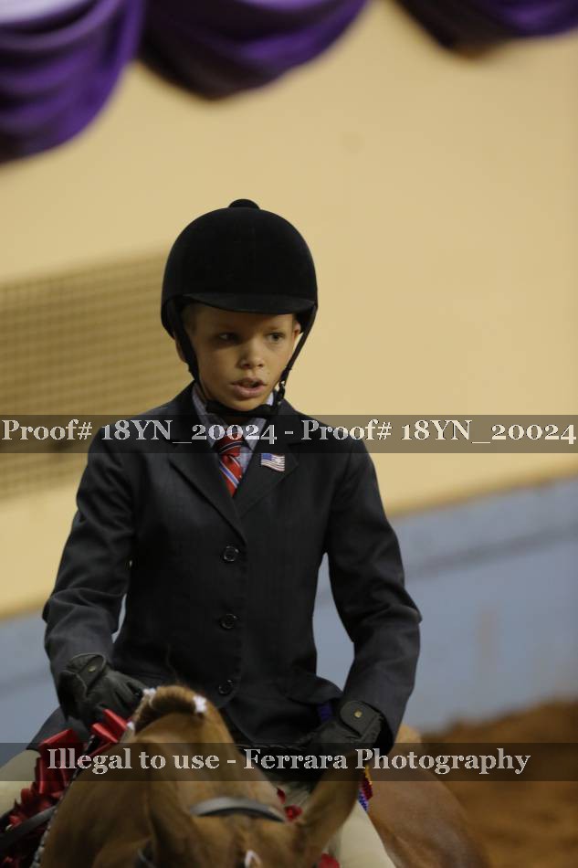 Proof 18YN_20024