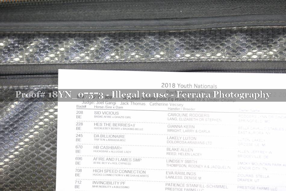 Proof 18YN_07573