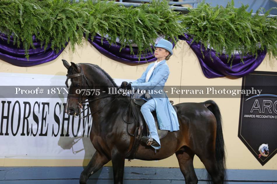 Proof 18YN_07575