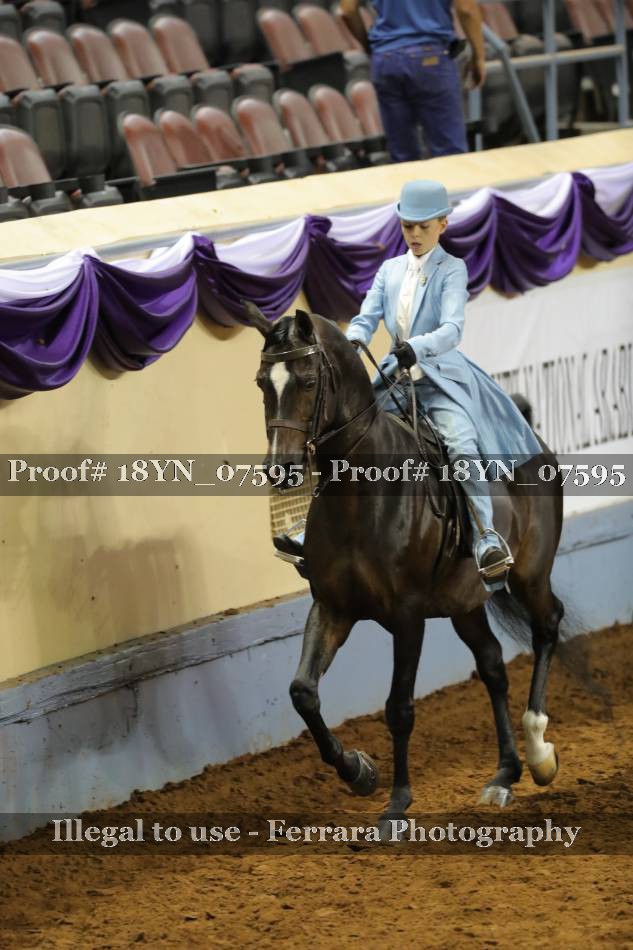 Proof 18YN_07595