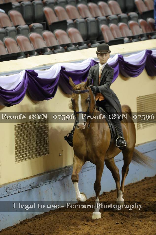 Proof 18YN_07596
