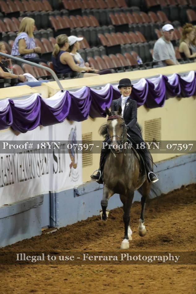 Proof 18YN_07597