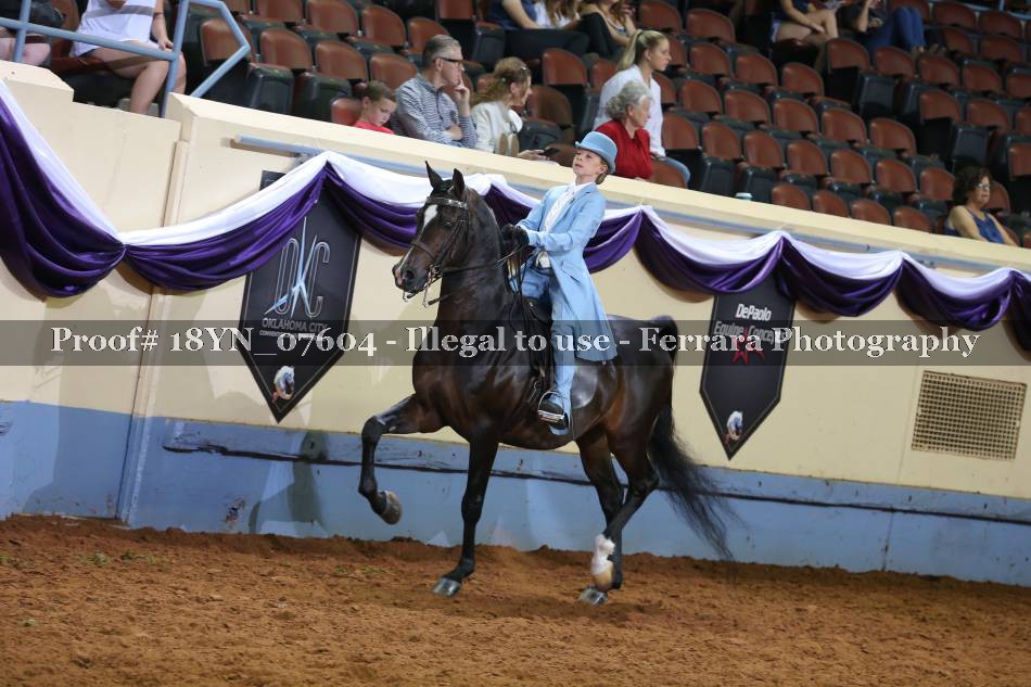 Proof 18YN_07604