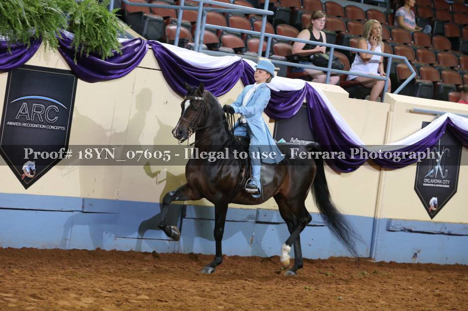 Proof 18YN_07605