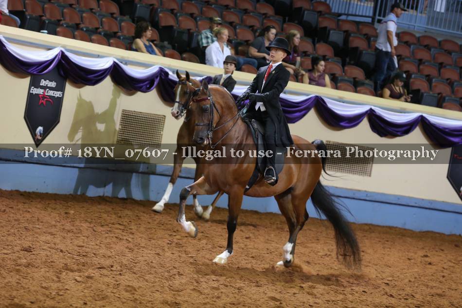 Proof 18YN_07607