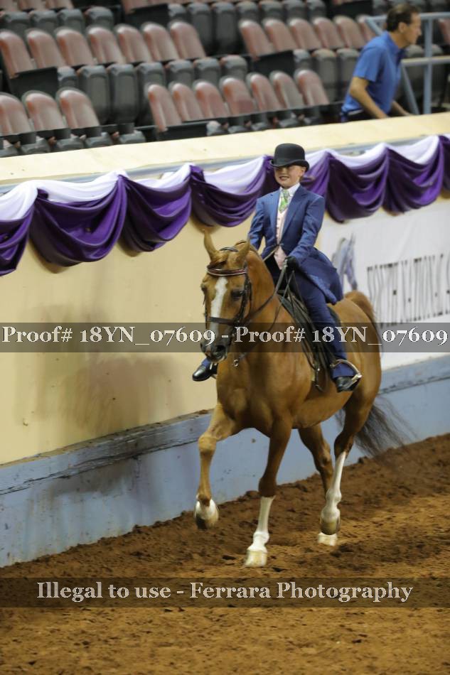 Proof 18YN_07609