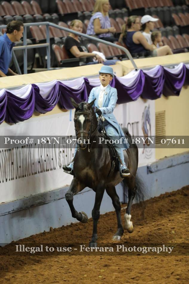 Proof 18YN_07611