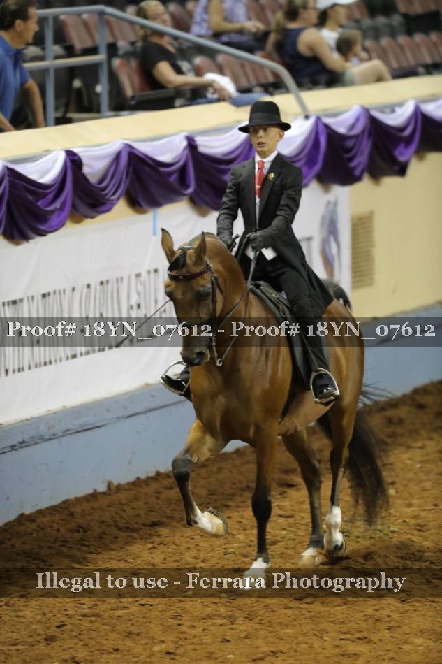 Proof 18YN_07612
