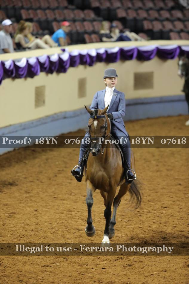 Proof 18YN_07618