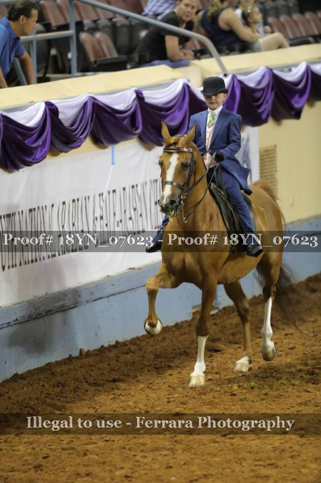 Proof 18YN_07623