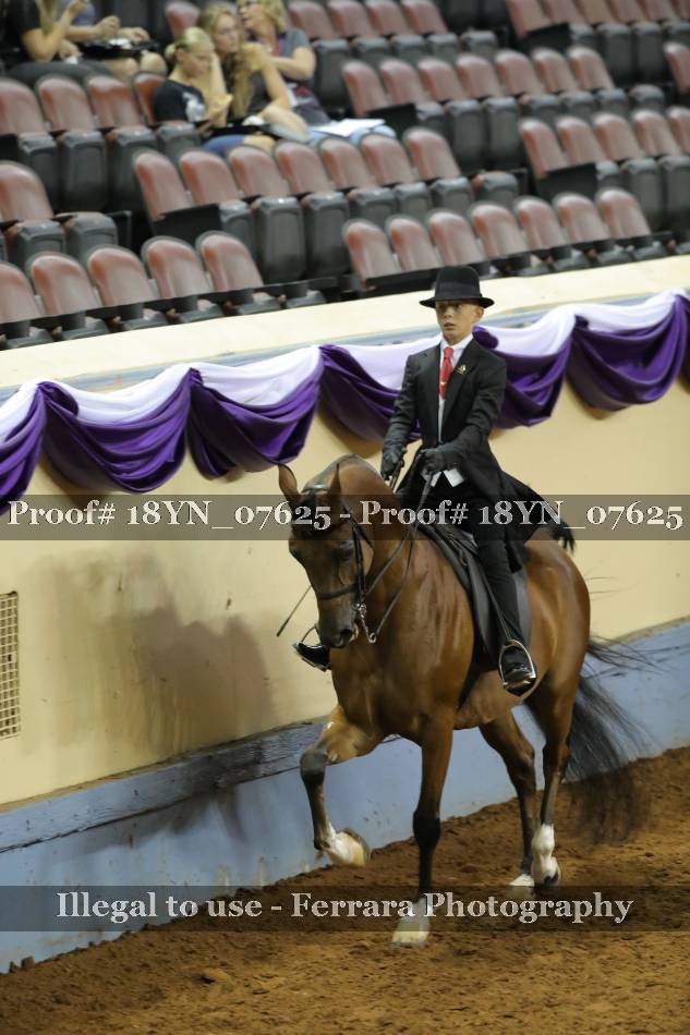 Proof 18YN_07625