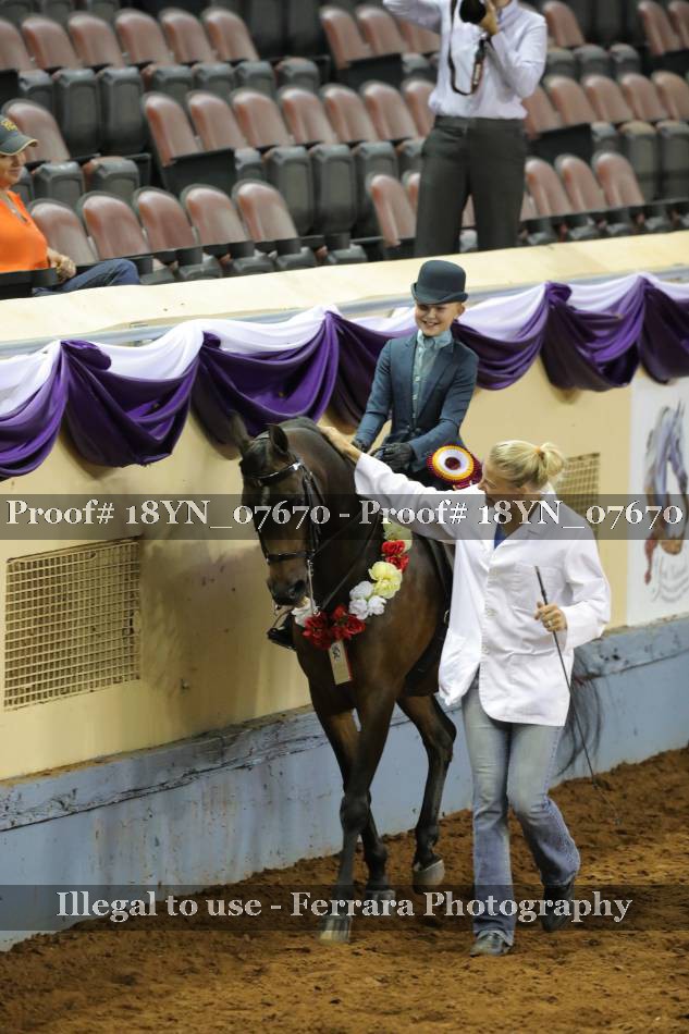 Proof 18YN_07670
