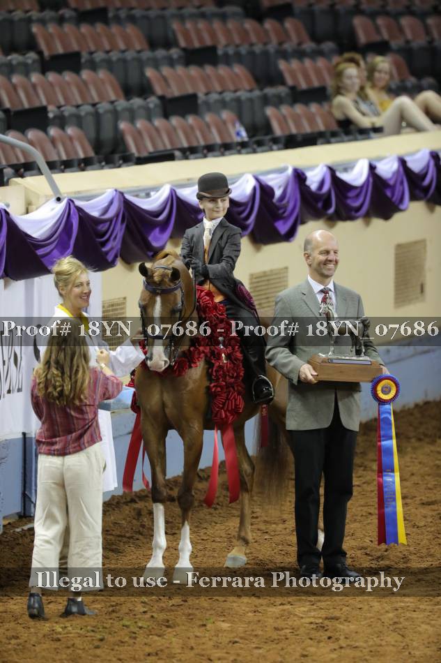 Proof 18YN_07686