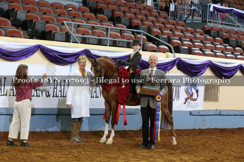 Proof 18YN_07693