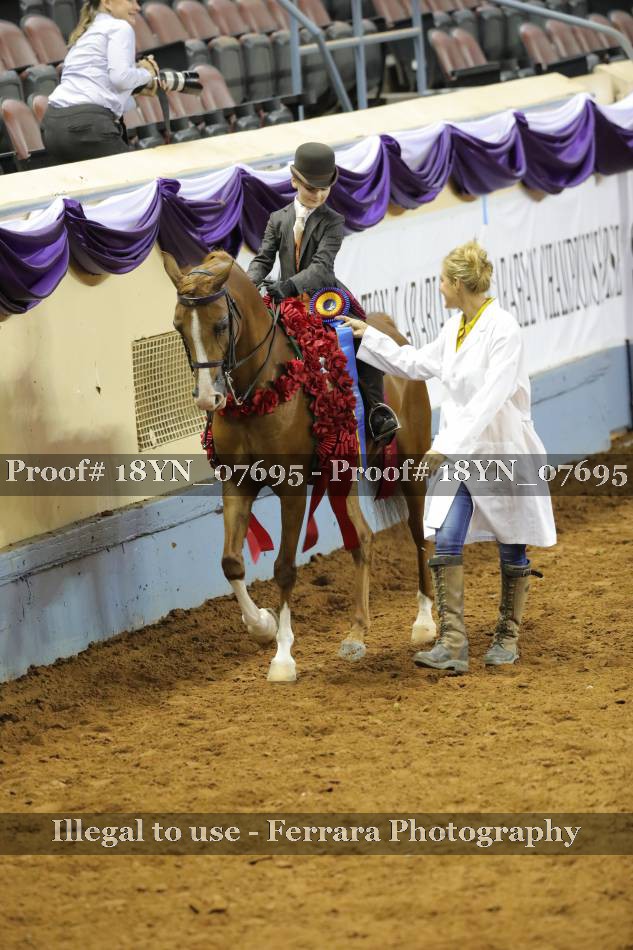 Proof 18YN_07695