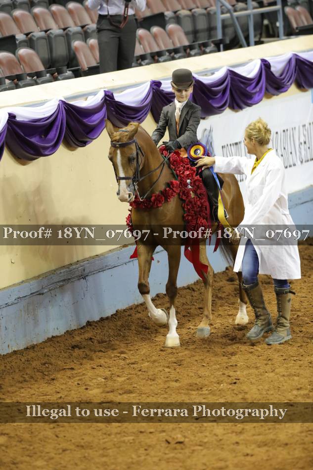Proof 18YN_07697