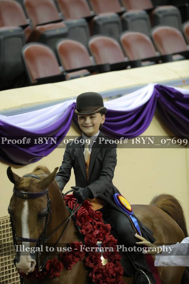 Proof 18YN_07699