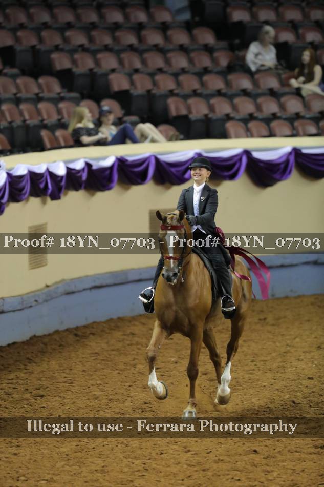 Proof 18YN_07703