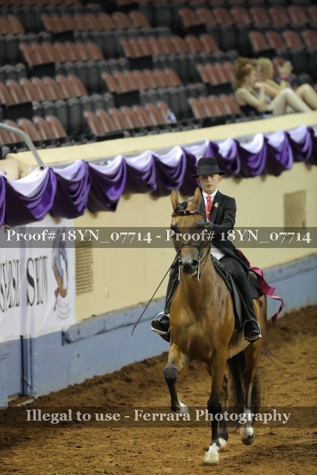 Proof 18YN_07714