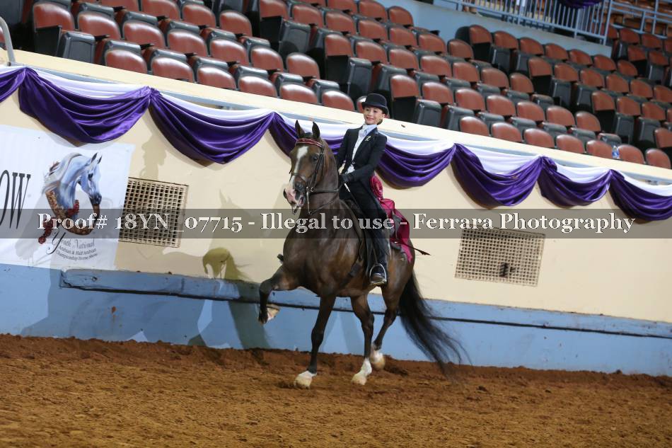 Proof 18YN_07715