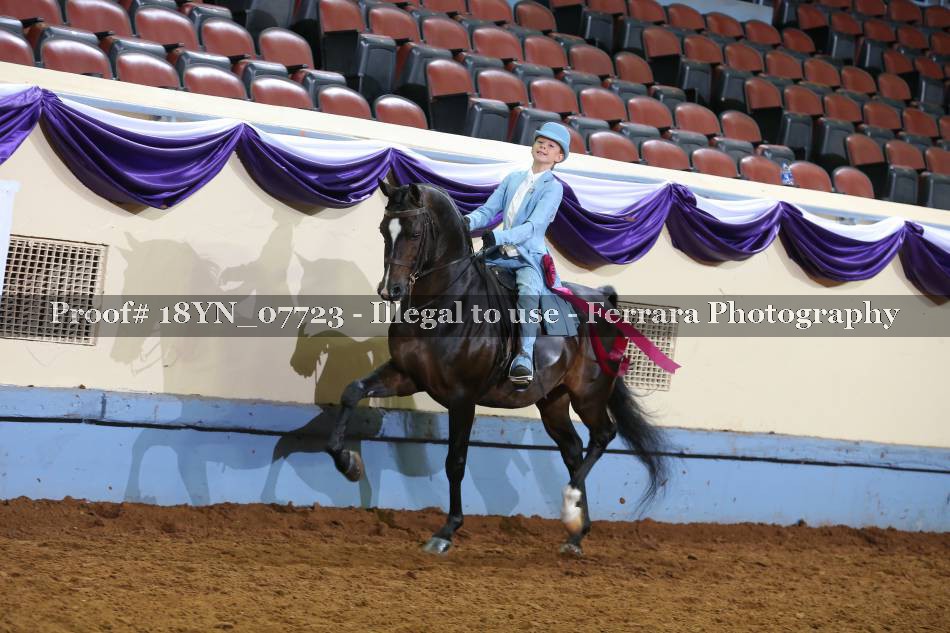 Proof 18YN_07723