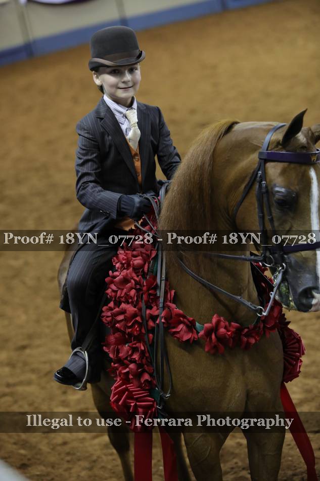 Proof 18YN_07728
