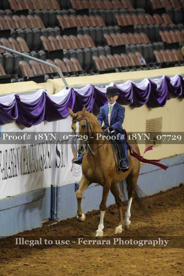 Proof 18YN_07729