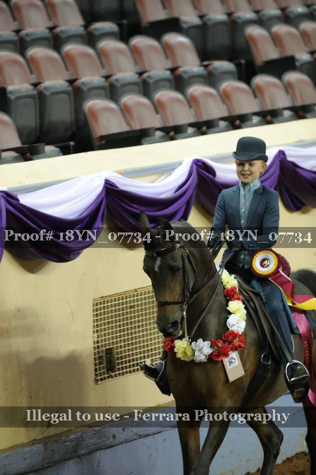 Proof 18YN_07734