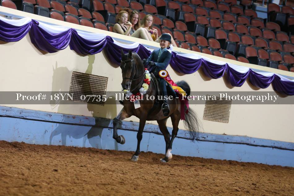 Proof 18YN_07735