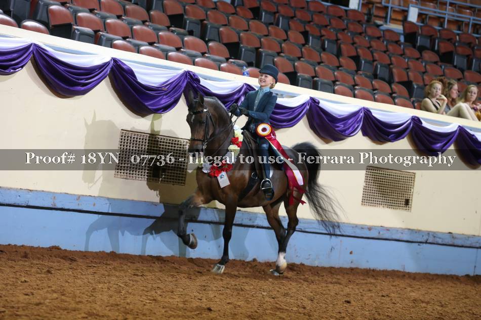 Proof 18YN_07736