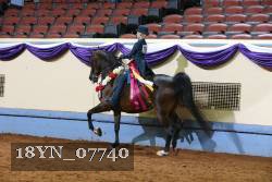 18YN_07740 proof