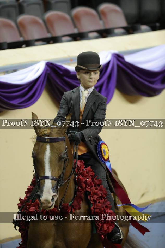 Proof 18YN_07743