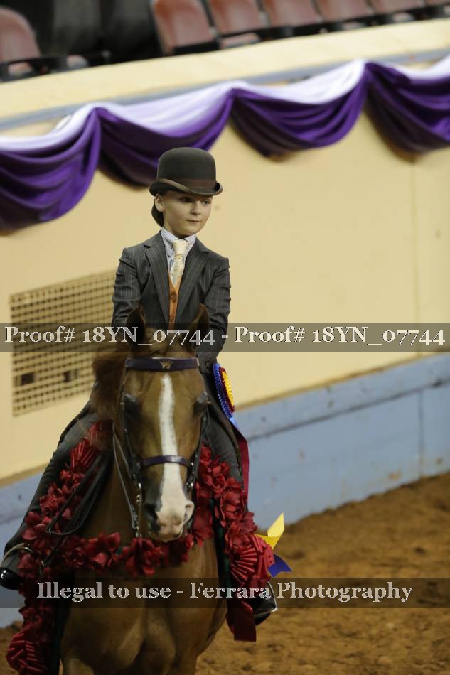 Proof 18YN_07744