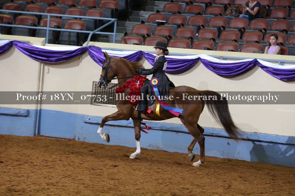 Proof 18YN_07753