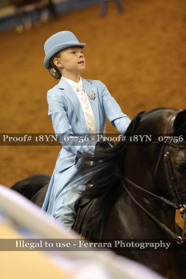Proof 18YN_07756