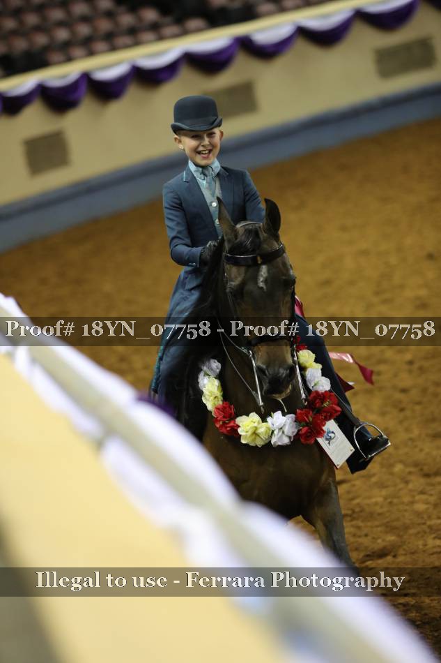 Proof 18YN_07758
