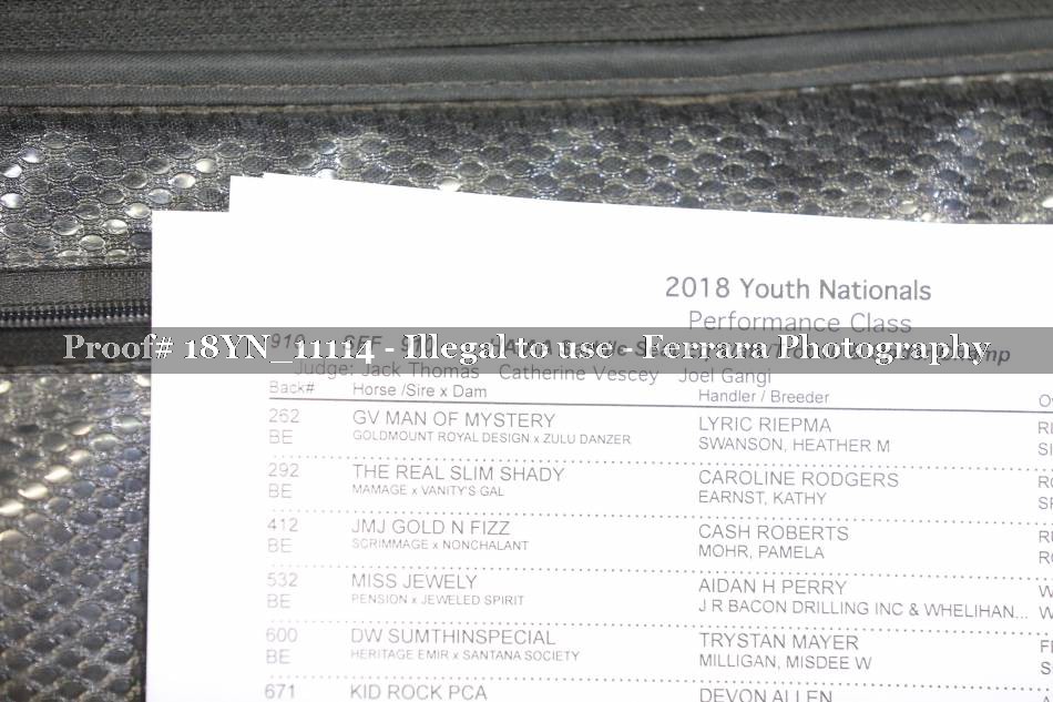 Proof 18YN_11114