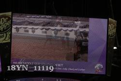 18YN_11119 proof